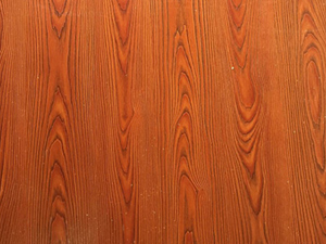 ���ǲ���